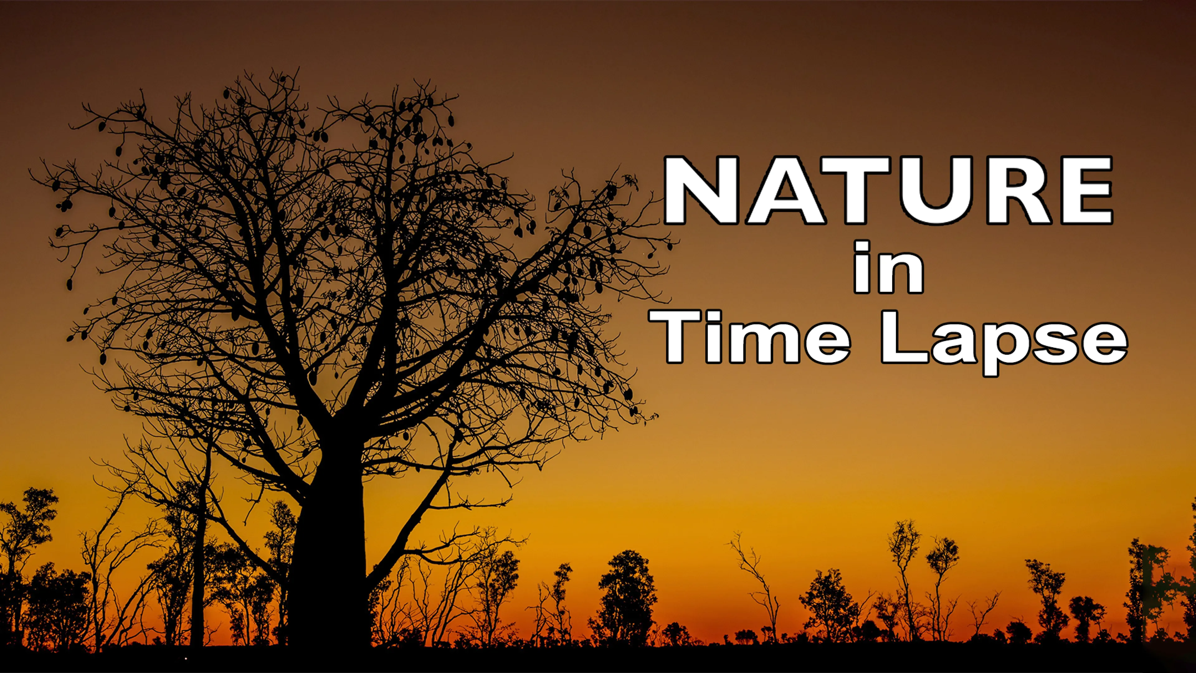 NATURE in Time Lapse poster